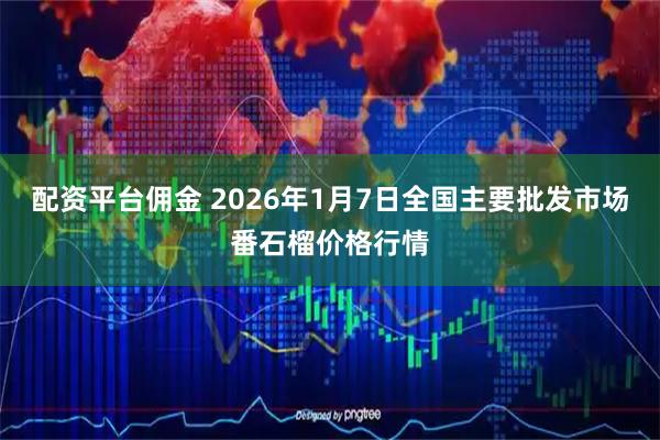 配资平台佣金 2026年1月7日全国主要批发市场番石榴价格行情